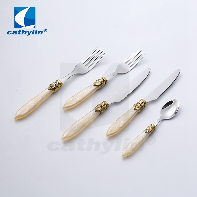 Cathylin Acrylic Handle Cutlery Set for Restaurant Stainless Steel Tableware Set for Home