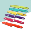 Wholesale Fruit Cutter Colorful Stainless Steel Kitchen Chef Knife Set with Plastic Handle Shell