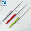 18/0 Stainless Steel Cutlery Set Plastic Handle Fruit Knife And Fork
